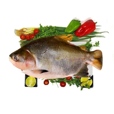 Tambaqui Inteiro (7.99/LB)